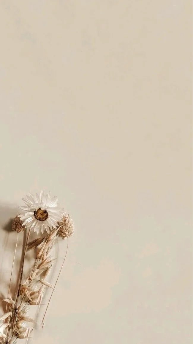 Story Background